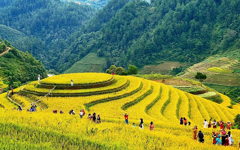 Tour Miền Bắc