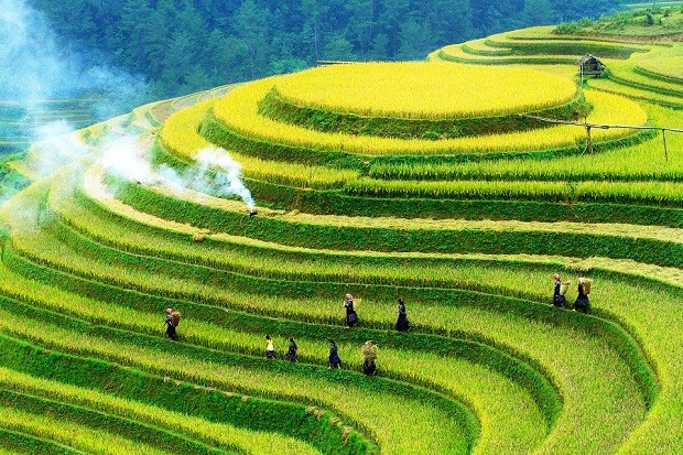 Tour Mù Cang Chải – Đèo Khau Phạ – Tú Lệ